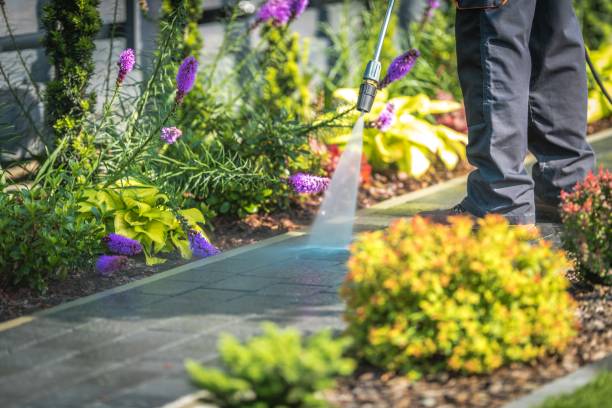 Best Factory Floor Cleaning  in Ladera Ranch, CA